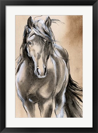 Framed Sketched Horse II Print