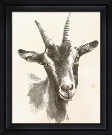 Framed Sketched Farm Portraits II Print