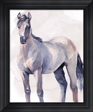 Framed Horse in Watercolor II Print