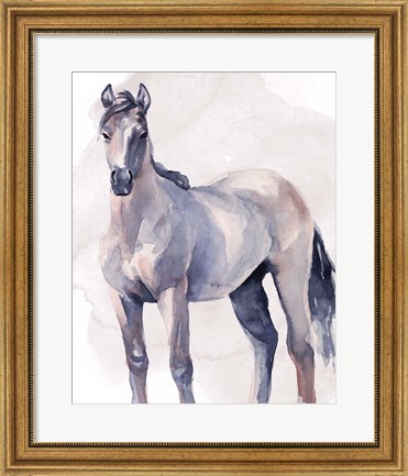 Framed Horse in Watercolor II Print