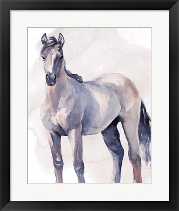 Framed Horse in Watercolor II Print