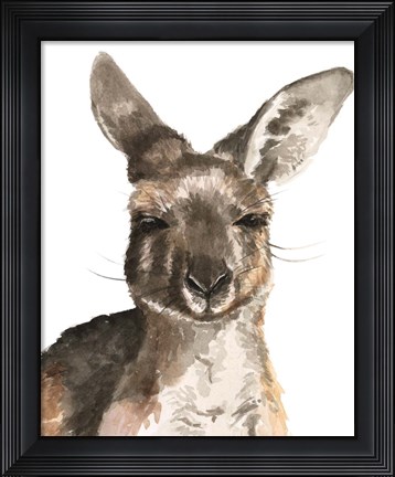 Framed Kangaroo Portrait I Print