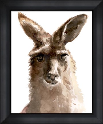 Framed Kangaroo Portrait II Print