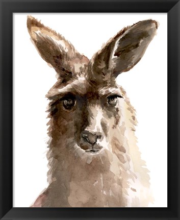 Framed Kangaroo Portrait II Print