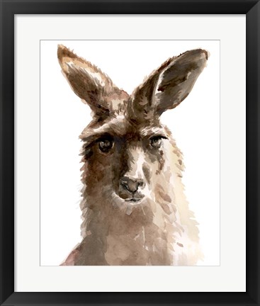 Framed Kangaroo Portrait II Print