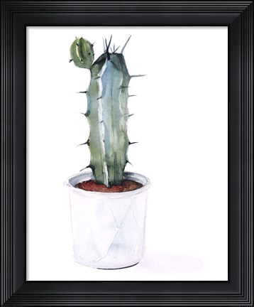 Framed Sharp Succulents I Print