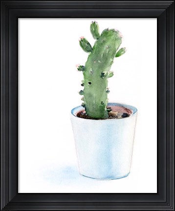 Framed Sharp Succulents II Print