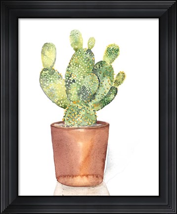 Framed Sharp Succulents IV Print