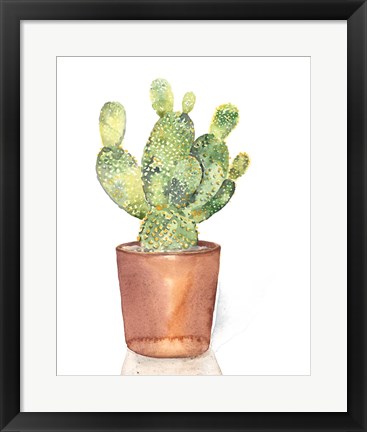 Framed Sharp Succulents IV Print