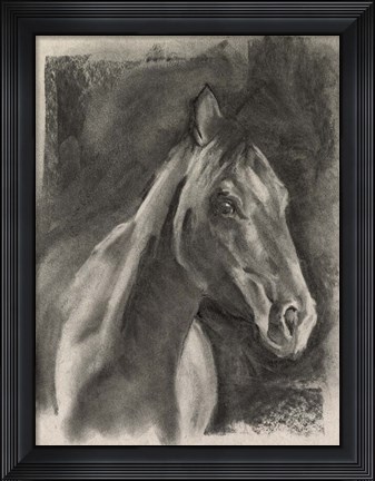 Framed Charcoal Horse Study on Grey I Print