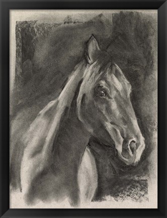 Framed Charcoal Horse Study on Grey I Print