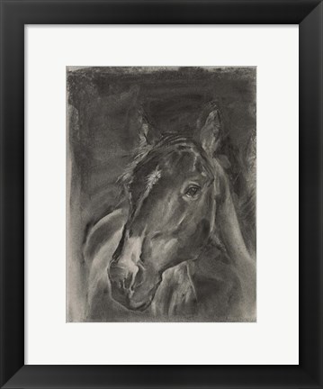 Framed Charcoal Horse Study on Grey II Print
