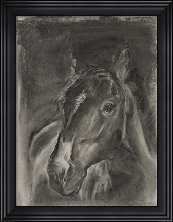 Framed Charcoal Horse Study on Grey II Print