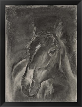 Framed Charcoal Horse Study on Grey II Print