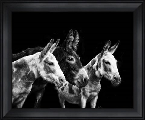 Framed Donkey Portrait II Print