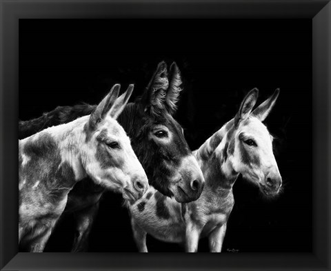 Framed Donkey Portrait II Print