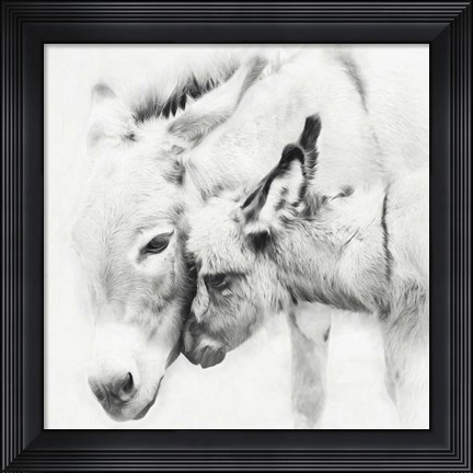 Framed Donkey Portrait III Print
