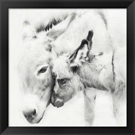 Framed Donkey Portrait III Print