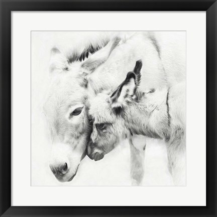 Framed Donkey Portrait III Print