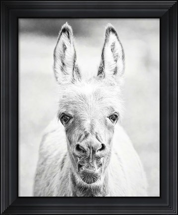 Framed Donkey Portrait IV Print