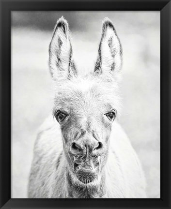 Framed Donkey Portrait IV Print