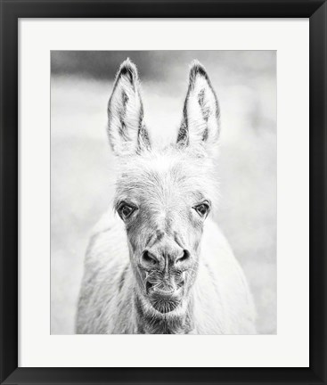 Framed Donkey Portrait IV Print