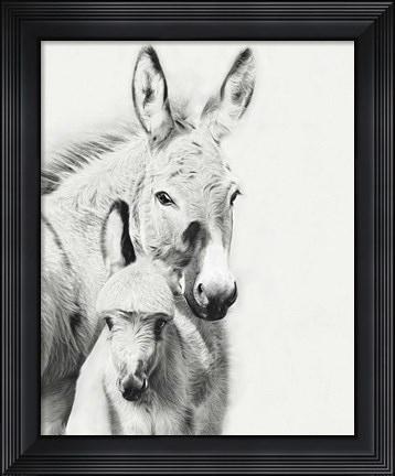 Framed Donkey Portrait V Print