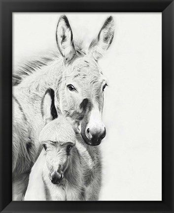 Framed Donkey Portrait V Print