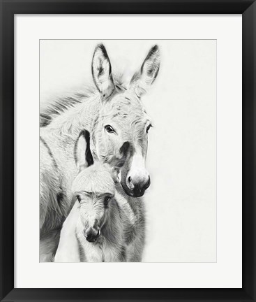 Framed Donkey Portrait V Print