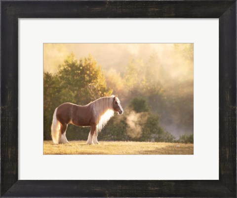 Framed Golden Lit Horse I Print