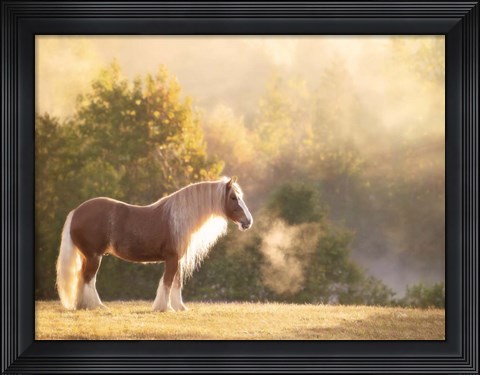 Framed Golden Lit Horse I Print