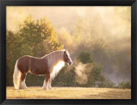 Framed Golden Lit Horse I Print