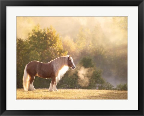 Framed Golden Lit Horse I Print