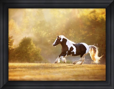 Framed Golden Lit Horse II Print