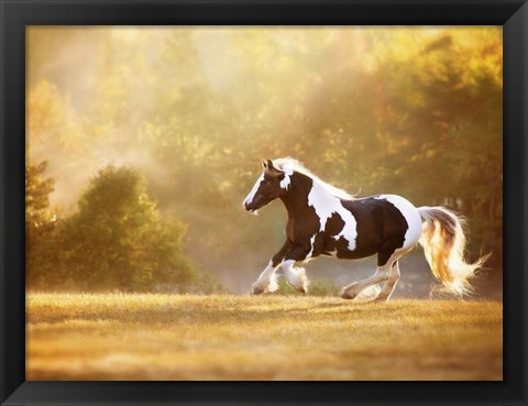 Framed Golden Lit Horse II Print