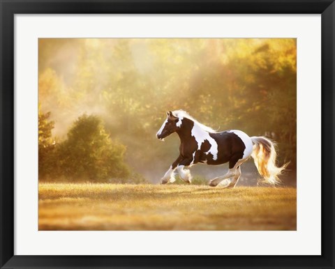 Framed Golden Lit Horse II Print