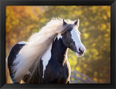 Framed Golden Lit Horse III Print