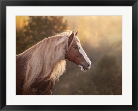 Framed Golden Lit Horse V Print