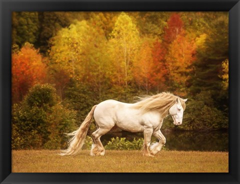 Framed Golden Lit Horse VI Print