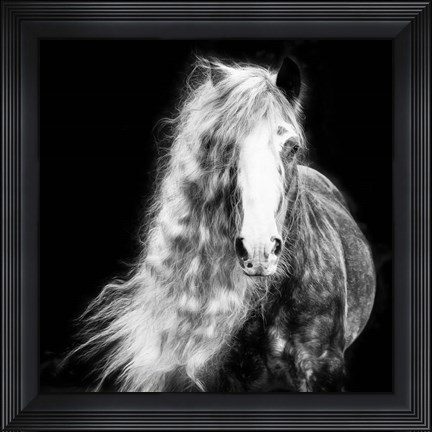 Framed Black and White Horse Portrait I Print