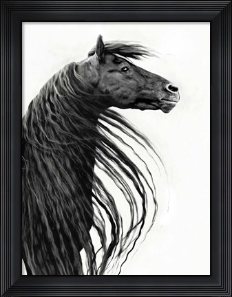 Framed Black and White Horse Portrait II Print