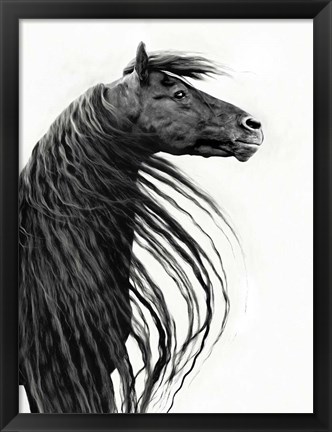 Framed Black and White Horse Portrait II Print