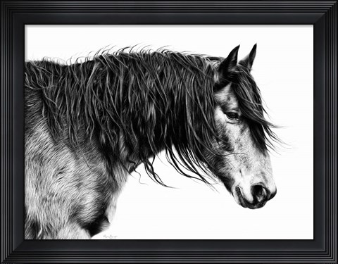 Framed Black and White Horse Portrait III Print