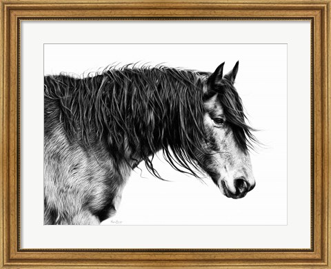 Framed Black and White Horse Portrait III Print