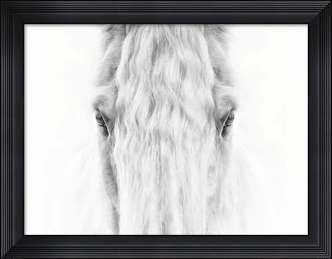 Framed Black and White Horse Portrait IV Print