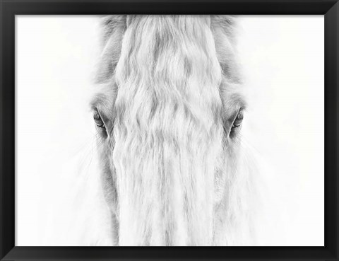 Framed Black and White Horse Portrait IV Print