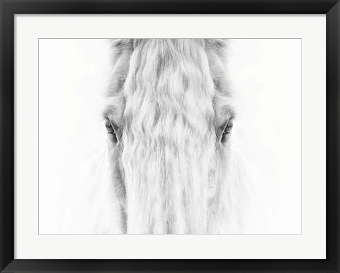 Framed Black and White Horse Portrait IV Print