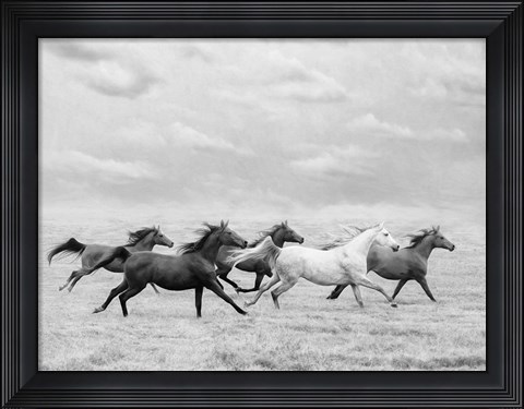 Framed Horse Run I Print