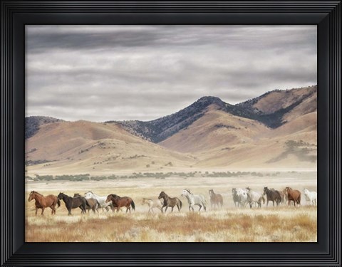 Framed Horse Run II Print