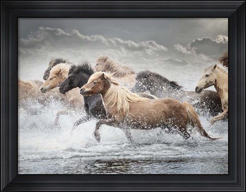 Framed Horse Run IV Print